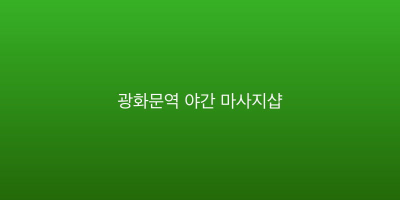 광화문역 야간 마사지샵