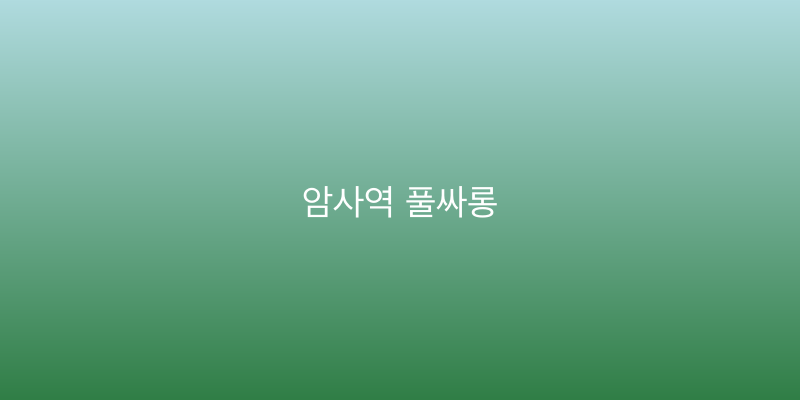 암사역 풀싸롱