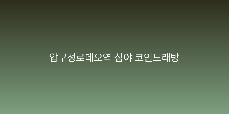 압구정로데오역 심야 코인노래방