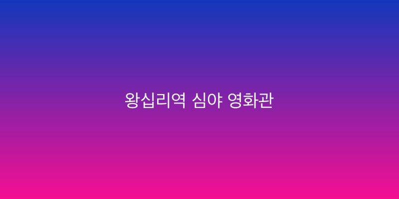 왕십리역 심야 영화관